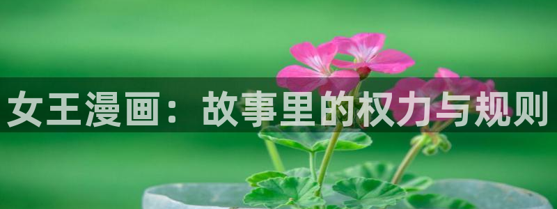 韩漫bg免费观看在线阅读漫画：女王漫画：故事里的权力与规则