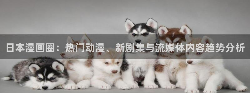 羞羞韩漫官网