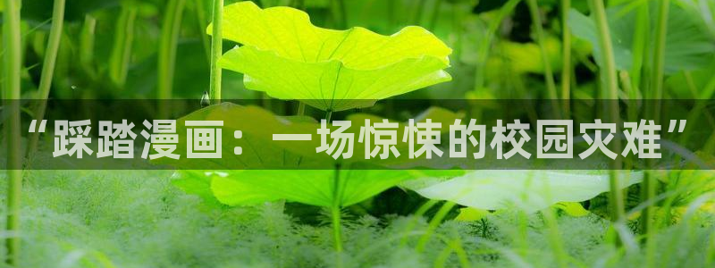韩漫禁漫网站