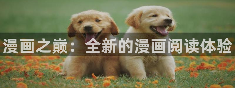 歪歪韩漫sss.：漫画之巅：全新的漫画阅读体验