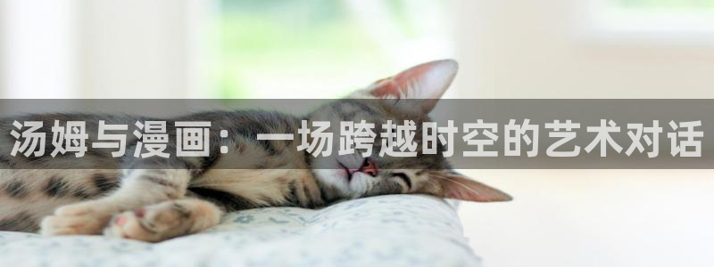 韩漫网站成人www：汤姆与漫画：一场跨越时空的艺术对话