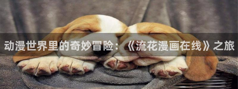 漫画免费观看韩漫