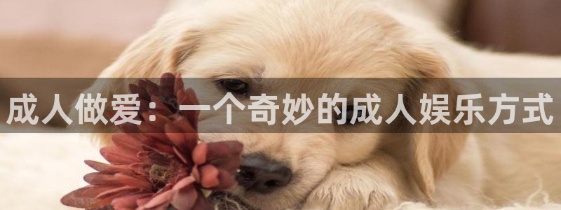 漫画免费观看漫画大全韩漫：成人做爱：一个奇妙的成人娱乐方式