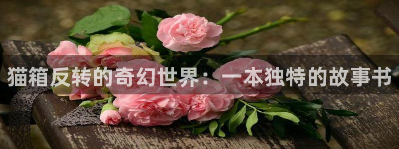 第一漫画网韩漫在线