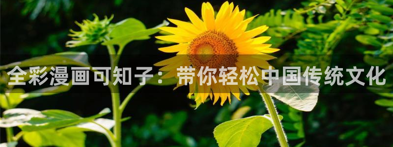 汉化韩漫免费看