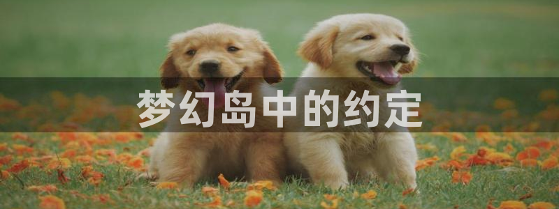 韩漫在线阅读免费漫画网站推荐
