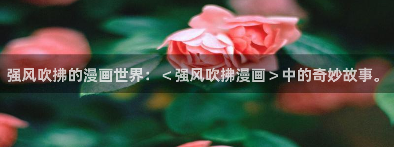 韩漫网站最新