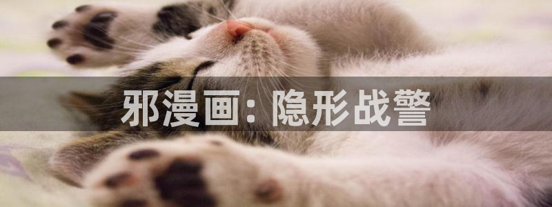 韩漫免费网站漫画入口：邪漫画: 隐形战警