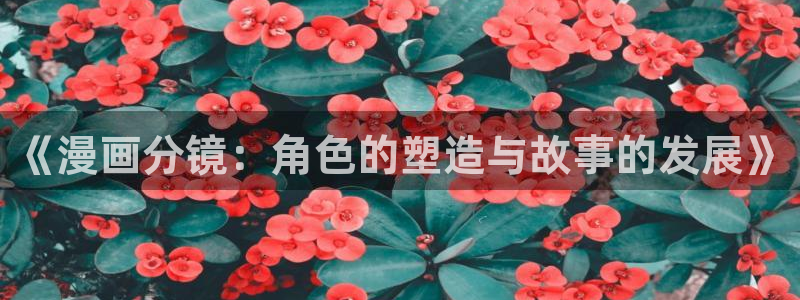 能看韩漫的网站：《漫画分镜：角色的塑造与故事的发展》
