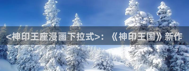 双男主韩漫在线看：<神印王座漫画下拉式>：《神印王国》新作