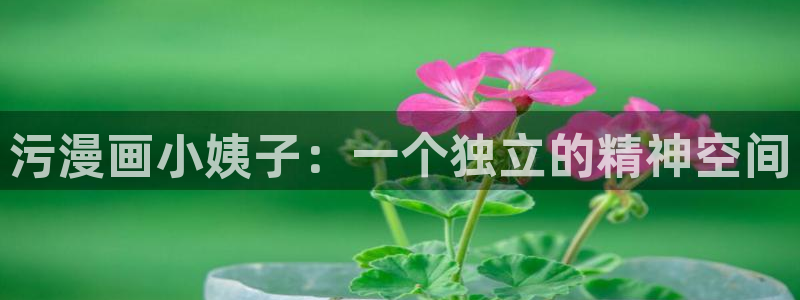 羞羞漫画韩漫首页免费：污漫画小姨子：一个独立的精神空间